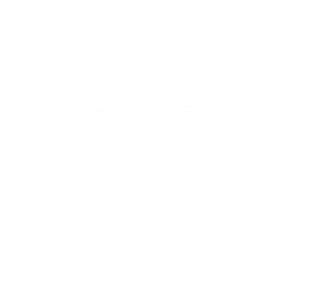 icon 5